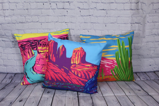 Organ Pipe Cactus National Monument Pillow Cover