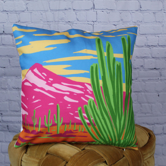 Organ Pipe Cactus National Monument Pillow Cover