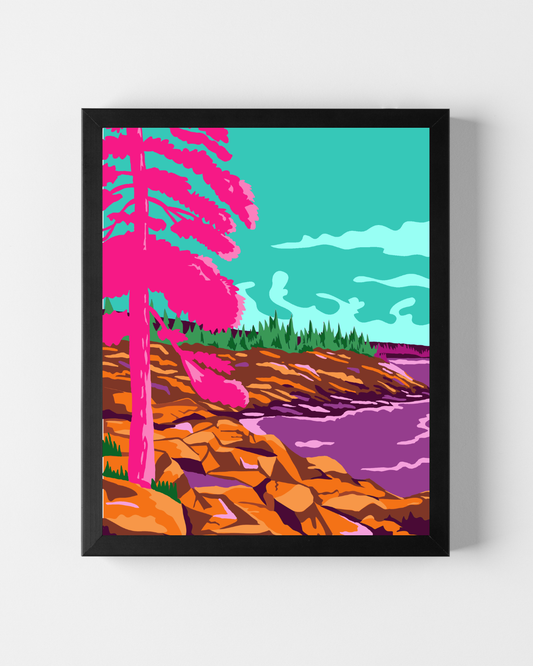 Acadia National Park Art Print